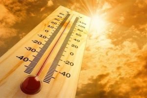 Avusturya'da korkutan rekor! 251 yılın en y&uuml;kseği...