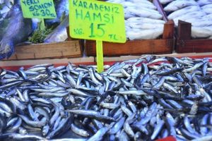 Hava şartları etkiledi! Fiyatı 15 TL oldu