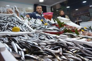 T&uuml;rkiye'den 20 &uuml;lkeye hamsi ihracı