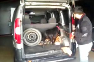 Aracın motorundan &ccedil;ıktı!
