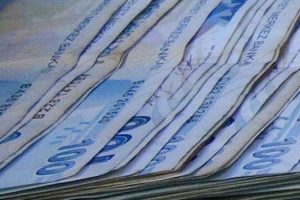 T&uuml;zel kişiye de avro ve dolar cinsi tahvil ihracı