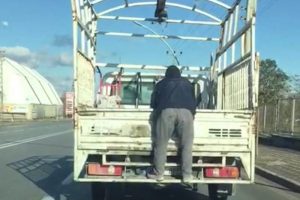 Kamyonetin arkasında tehlikeli yolculuk y&uuml;rekli ağza getirdi