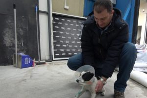 Bursa'daki o s&uuml;r&uuml;c&uuml;yle k&ouml;peğin sahibi buluştu