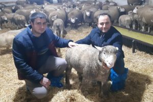 Bursa'daki bu ke&ccedil;iler kuzulara annelik yapıyor
