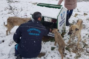 Bursa'da karda a&ccedil; kalan hayvanlar i&ccedil;in belediye seferber oldu