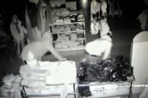 Kasa hırsızları plakayı tıraş k&ouml;p&uuml;ğ&uuml;yle kapatmış