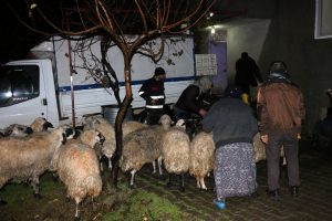 Yağmur suyu dolan ahırdaki hayvanlar telef oldu