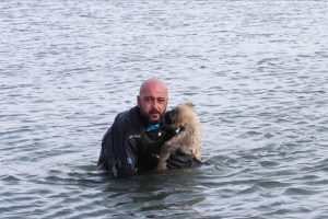 Donmak &uuml;zereyken kurtarılan k&ouml;pek yavrusuna 'Buz' adını verdiler