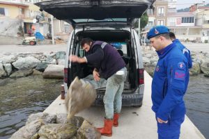 Bursa'da 1.5 ton ka&ccedil;ak midye ele ge&ccedil;irildi