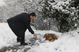 Bursa Osmangazi Belediye Başkanı D&uuml;ndar sahipsiz k&ouml;pekleri elleriyle besledi