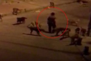 Mahallelinin korkulu r&uuml;yası olan kadın g&ouml;zaltında