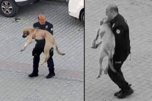 Polisten insanlık dersi