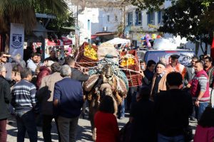 "Mandalina bah&ccedil;eleri kat karşılığı m&uuml;teahhitlere veriliyor"