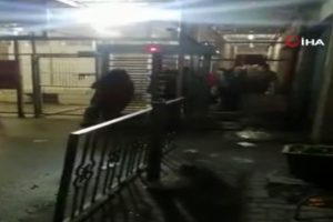 İtalyanlardan İsrail işgaline şarkılı tepki