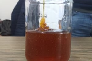 bursada bugun