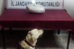 Otomobilde yapılan aramada ele ge&ccedil;irildi