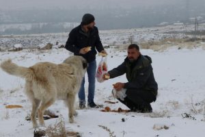 Hayvanlar i&ccedil;in 15 yıldır doğaya yem bırakıyor