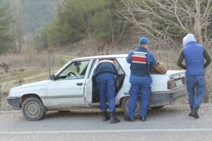 İki karacayı vuran avcılara 13 bin lira ceza