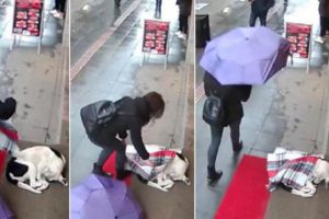 &Uuml;ş&uuml;yen sokak k&ouml;peğini şalıyla &ouml;rtt&uuml;