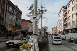 Yalova'da s&uuml;r&uuml;c&uuml;ler i&ccedil;in 'kedi &ccedil;ıkabilir' uyarısı