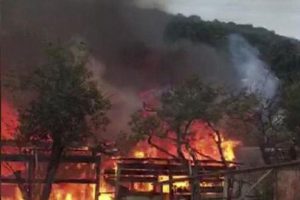 9 atın &ouml;ld&uuml;ğ&uuml; yangının sebebi belli oldu