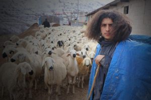 &Uuml;niversite mezunu gen&ccedil;ten &ouml;rnek davranış