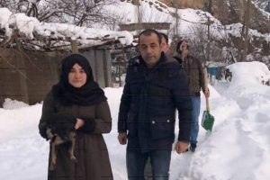 Yavru k&ouml;pekleri donmak &uuml;zereyken kurtardılar