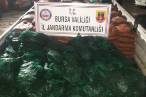 Bursa Gemlik'te 19 ton ka&ccedil;ak midye ele ge&ccedil;irildi