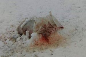 Srebrenitsa'da &ccedil;irkin saldırıya tepki yağdı
