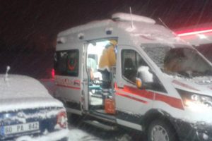 Define arayan 4 kişiden 1'i hayatını kaybetti