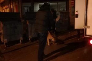 Bursa'da kurt sandılar k&ouml;pek &ccedil;ıktı