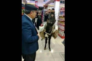 Markette eşekle alışverişi yapan bakın kim &ccedil;ıktı!