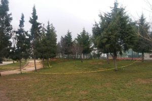 Parkta g&ouml;rd&uuml;kleri bebek eli şoke etti