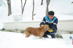 Bursa'da kar bastırdı can dostlar unutulmadı