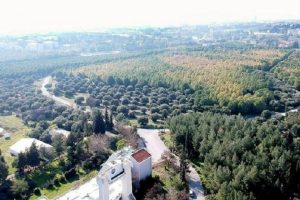 Ege &Uuml;niversitesi'nin koruluğu 'Millet Bah&ccedil;esi' oluyor