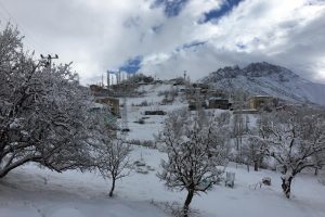 &Ccedil;ığ d&uuml;şt&uuml;, k&ouml;y yolu ulaşıma kapandı
