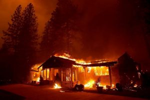 California'daki orman yangını 2018'in en maliyetli doğal afeti oldu