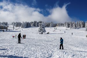 Bursa Uludağ'da güneşli havada kayak keyfi