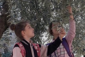 Suriye uyruklu Roya ile Kardelen'in dostluğu kamu spotunda