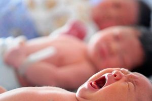 Bitkisel hayattaki kadının doğum yapmasının ardından çalışanlara DNA testi