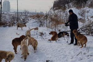 Emekli maaşını sokak hayvanları i&ccedil;in harcıyor