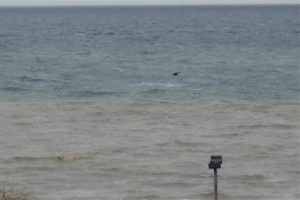 Silivri'de deniz kahverengi oldu, balık&ccedil;ı tekneleri zarar g&ouml;rd&uuml;