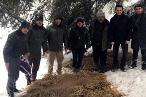 Bolu'da yaban hayvanları i&ccedil;in doğaya yem bırakıldı