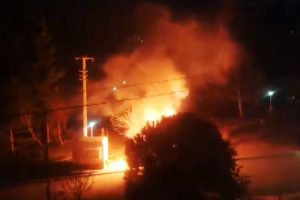 Kopan elektrik kablosu ağacı yaktı