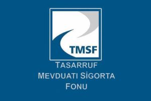TMSF'ye ge&ccedil;en 'sorunlu şirketler' satılacak
