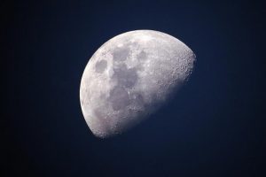 Ay'a g&ouml;nderilen tohumlar filizlendi