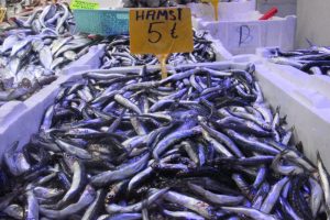 30 liraya kadar &ccedil;ıkan hamsi 5 liraya d&uuml;şt&uuml;