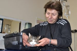 Bursa'da diyabetli kedisini tedavi ettirmek için onlarca kilometre yol kat ediyor