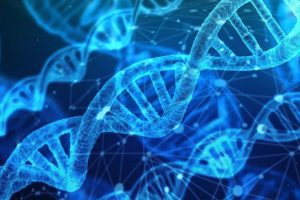 DNA yaşam s&uuml;resi hakkında ipu&ccedil;ları veriyor
