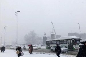Vincin &uuml;zerinde yaptığı g&ouml;renleri şaşkına &ccedil;evirdi!